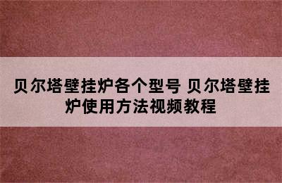 贝尔塔壁挂炉各个型号 贝尔塔壁挂炉使用方法视频教程